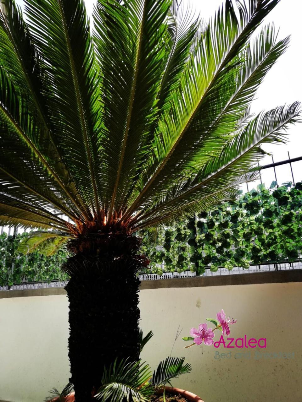 Azalea B&B Napoli Ngoại thất bức ảnh